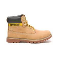 cat-colorado-20-boot-20240126201235.jpg