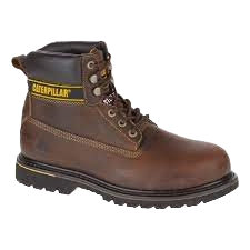 caterpillar-holton-p-20240125203952.png