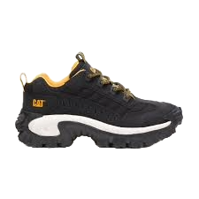 caterpillar-intruder-20240126161415.png