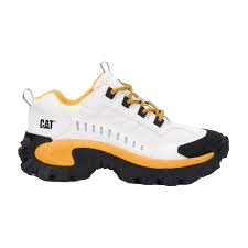 caterpillar-intruder-20240131172923.png