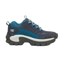 caterpillar-intruder-20240202194447.png