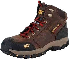 caterpillar-navigato-20240125203504.png