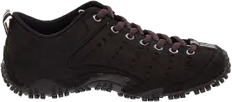 caterpillar-shelk-ne-20240207203548.png
