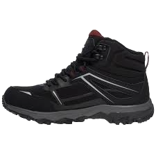 discovery-expedition-20240122121044.png
