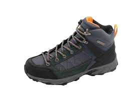 discovery-grey-picch-20240207143746.png
