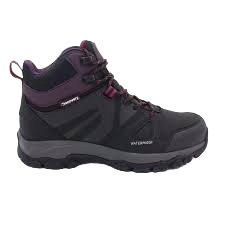 discovery-morado-bor-20240208154420.png