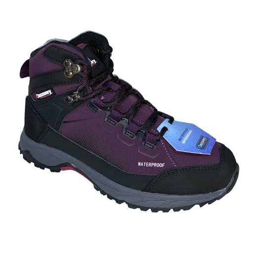 discovery-purpurabor-20240207171713.jpeg