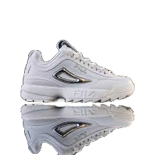 fila-disruptor-2-met-20240129111137.png