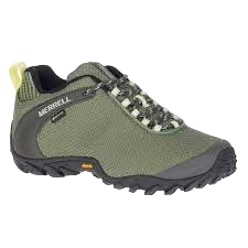 merrell-chameleon-8--20240201104520.png