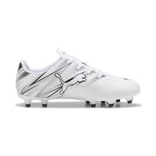 puma-attacanto-10748-20240213102515.jpg