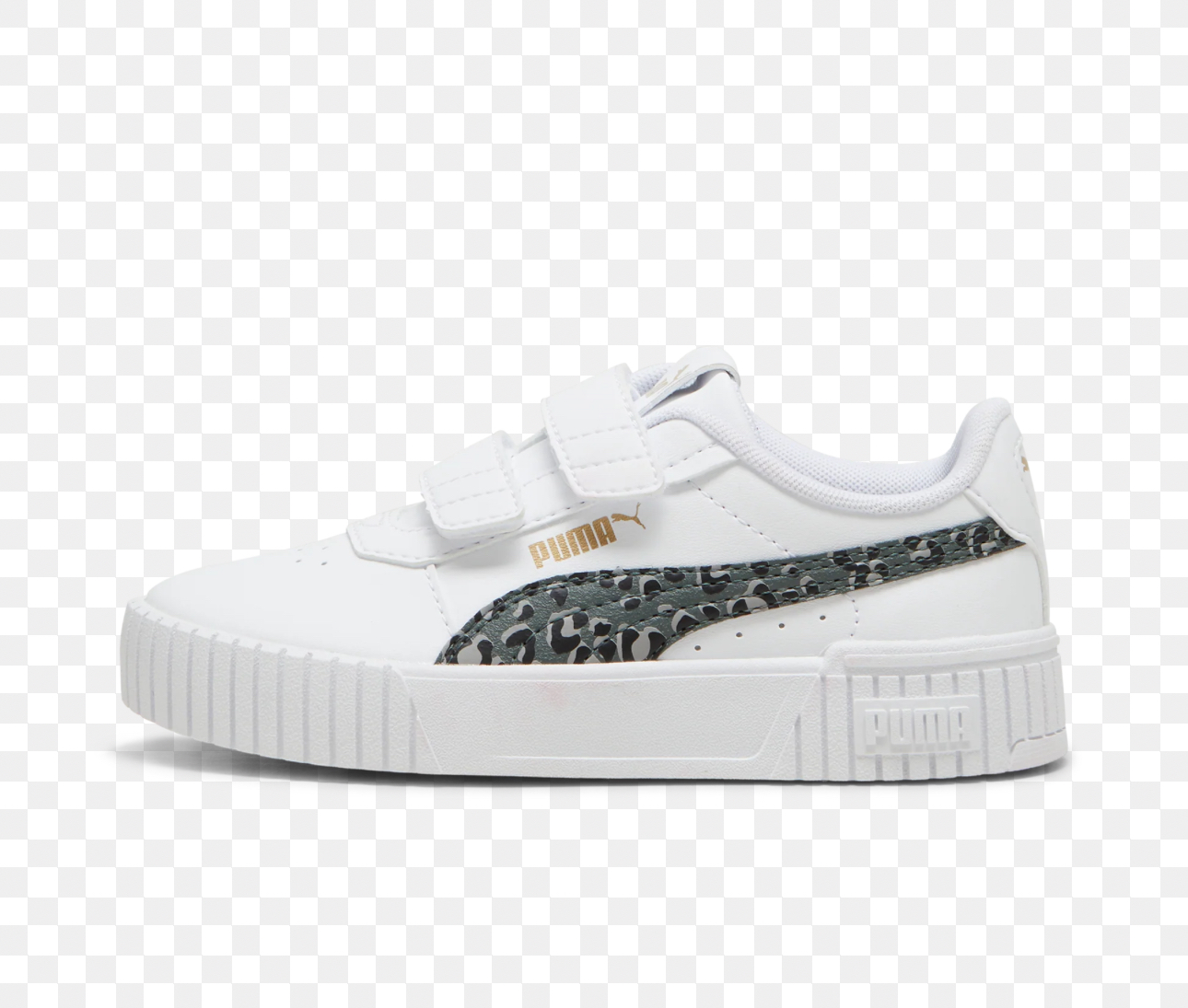 puma-carina-20-anima-20240419233319.jpeg