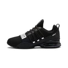 puma-cell-regulate-1-20240125235339.jpeg