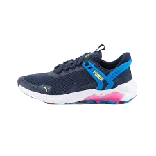 puma-lqdcell-method--20240126000416.png