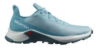 salomon-alpha-cross--20240103171757.jpg