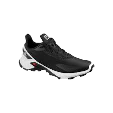 salomon-alphacross-4-20240208191827.png
