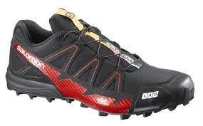 salomon-s-lab-fellcr-20240115185455.png