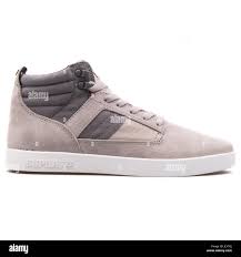 supra-bandit-s39045--20240209180735.jpg