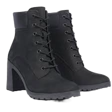 timberland-negro-dam-20240219105538.png